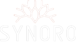 SYNORO Status