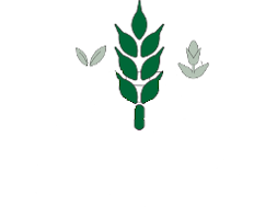 MAPS Status