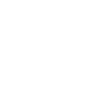 Visser Analytics Uptime Status