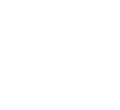 NB.AI America Status