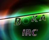 BokaIRC Status