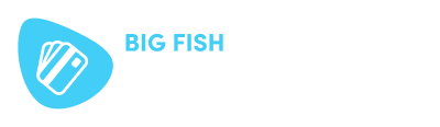 BIG FISH Payment Gateway Status