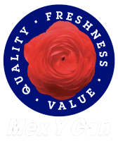 Mex Y Can - Are we up? Status