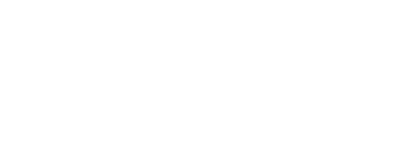 Behaim IT Solutions Status