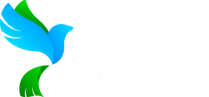 Linktic Status