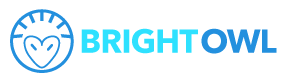 Bright Owl Websites Status