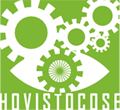 HoVistoCose Status