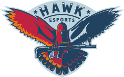 HAWK ESport Uptime Status