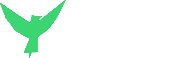 Pyel Network Status Status