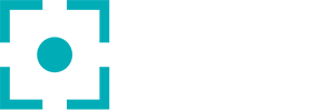 Fleet Focus Services Monitor Status